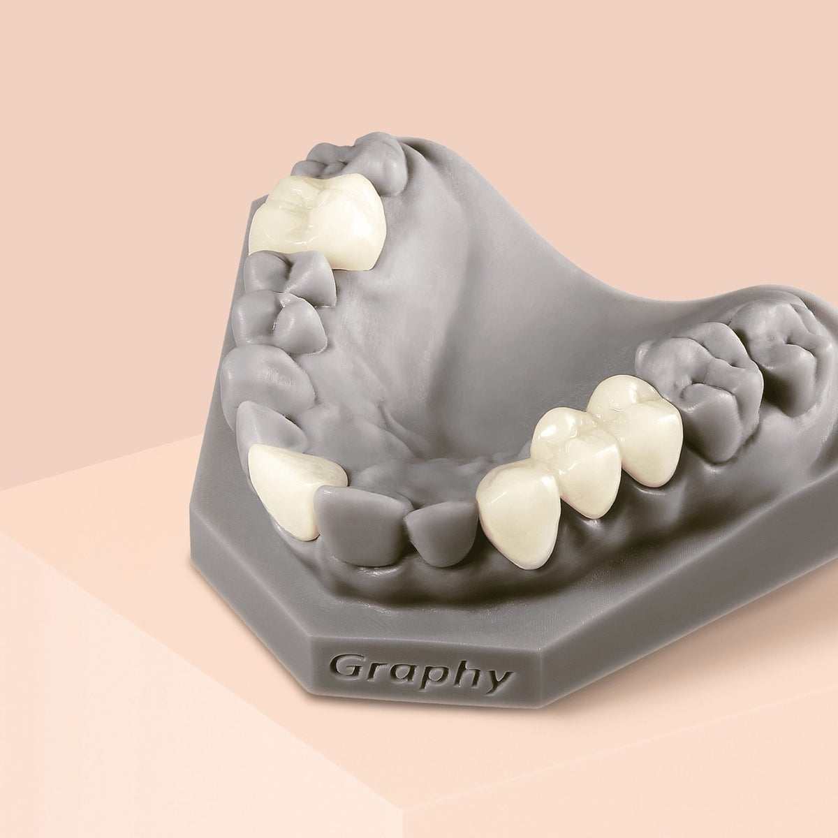 Vainikėliai ir tiltai, atspausdinti Graphy Tera Harz TC-80DP derva, ant modelio
