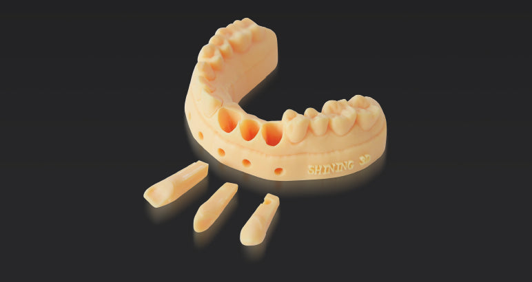 Odontologinis spausdintuvas AccuFab-D1s