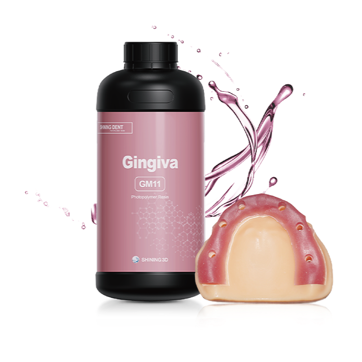 3D SHINING DENT derva GM11 Gingiva Mask